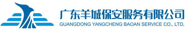 宁波鼎盛高科技投资有限公司